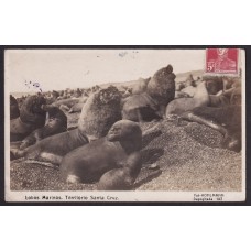 ARGENTINA 1928 PATAGONIA SANTA CRUZ ANTIGUA TARJETA POSTAL LOBOS MARINOS CIRCULADA CON MATASELLO DE FERROCARRIL